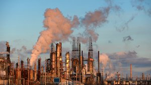 Blockchain startups tackle carbon reduction