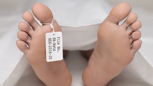 Following death blow to Winklevoss ETF, bitcoin bounces back