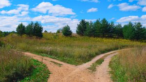 SegWit2x fork halted; bitcoin value skyrockets