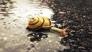 What can save the bitcoin network?